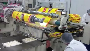 SF-A Horizontal Flow Wrapper (Economic Multi-Purpose Type)