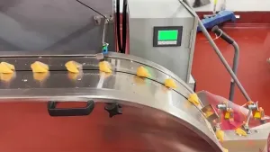 SF-C Horizontal Flow Wrapper (Servo Upgraded Type)