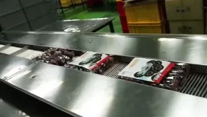 SF-CW Trayless Horizontal Flow Wrapper (Multipack Packaging Type)