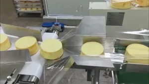 SF-D Horizontal Flow Wrapper (Bottom Film Feed Type)