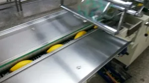 SF-J Horizontal Flow Wrapper (Multipack Packaging Type)