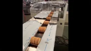 SG Trayless Horizontal Flow Wrapper (Multi-Servo Biscuit-on-Edge Packaging Type)