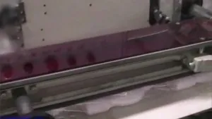 SF-R Horizontal Flow Wrapper with Heat Shrink Tunnel