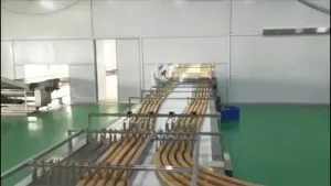 Automatic Feeding Packaging System with multi-servo control