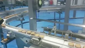 Automatic Biscuit Packaging System
