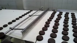 Automatic Cake & Bar Packaging System