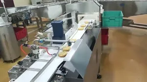 Automatic Noodle Packaging System