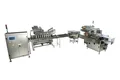 Automatic Biscuit Packaging System