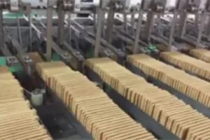 Automatic Biscuit Packaging System