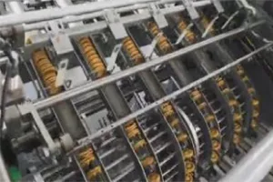 Automatic Biscuit Packaging System