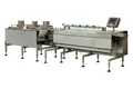 Automatic Feeding Packaging System
