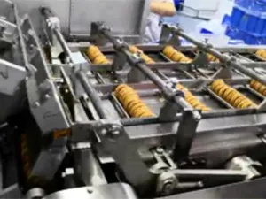 Automatic Feeding Packaging System