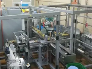 Automatic Feeding Packaging System