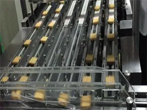 Automatic Feeding Packaging System