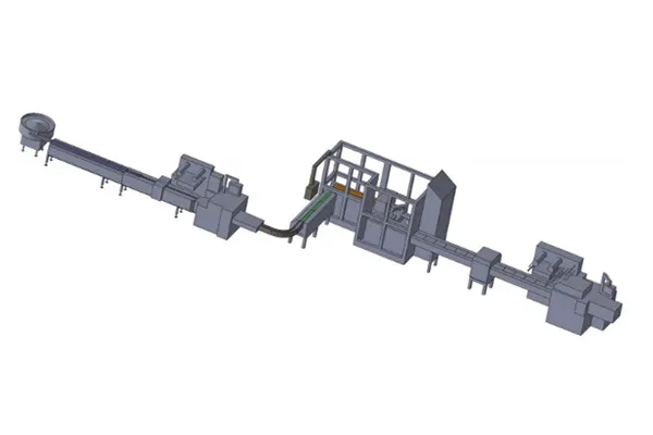 Automatic Secondary Packaging System