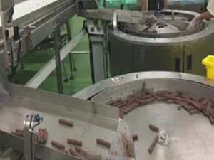 Automatic Packaging System with Dual Bowl Feeder