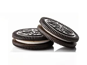 Automatic Packaging System with Dual Bowl Feeder